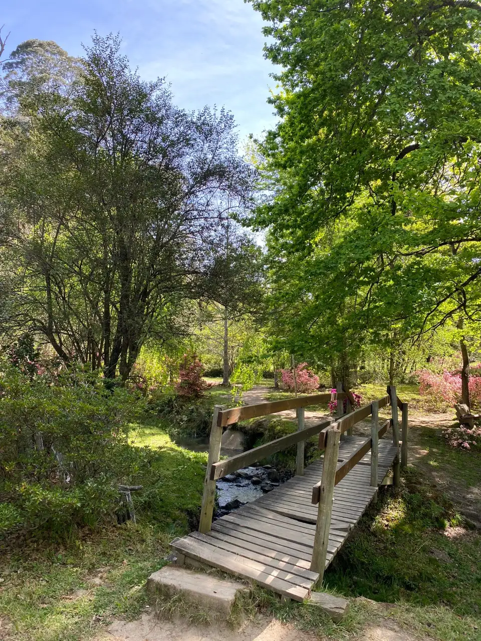 5_Arboretum Hogsback