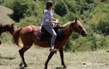 Ранчо Living Roots