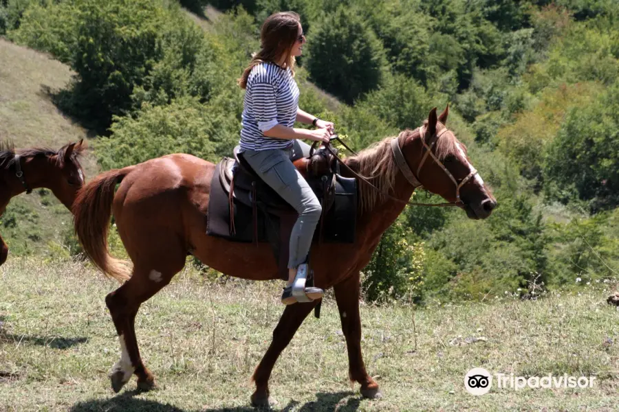 Living Roots Horse Ranch ( Lost Ridge )