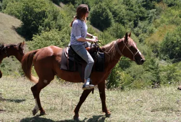 Lost Ridge Horse Ranch ( Former Living Roots )