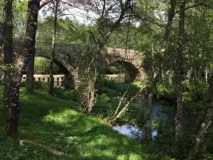 Boticas Parque