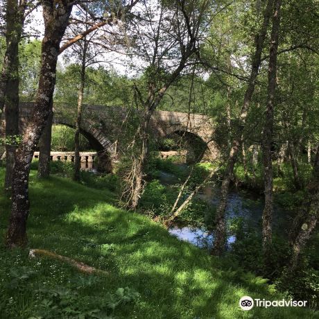Boticas Park - Nature and Biodiversity