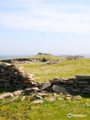 Burraland Broch