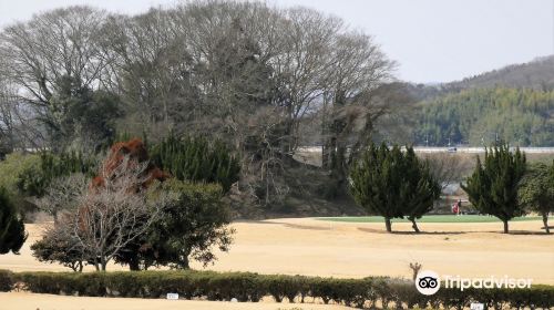 Fukuoka Castle Ruins Hill