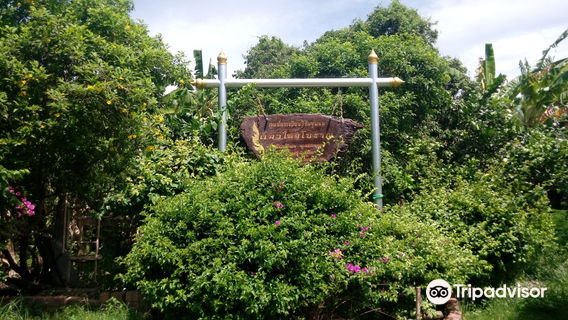 Ancient Thai Cat Conservation Center (Thai Cat House)