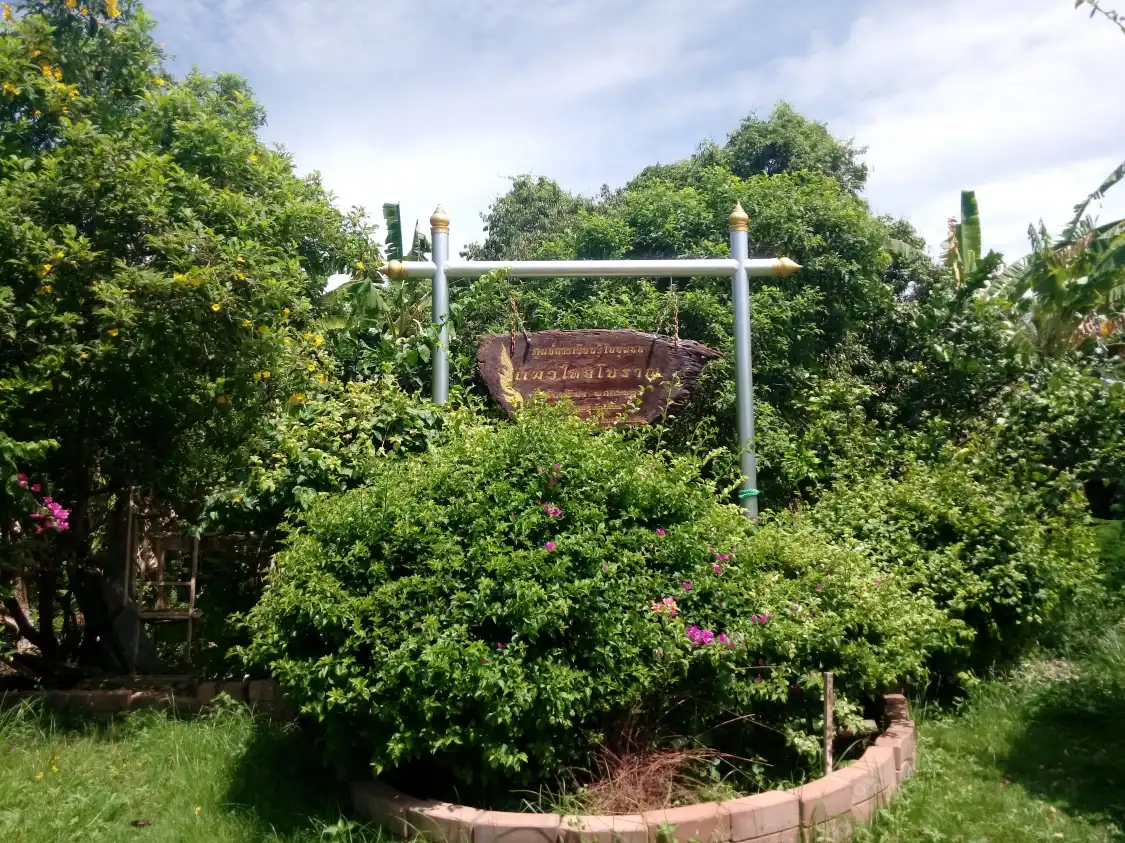Hotels near Ancient Thai Cat Conservation Center (Thai Cat House)