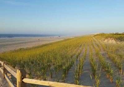 Ship Bottom Beach