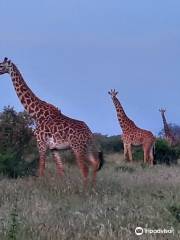 Thomas Tours & Safaris - Private Day Tours