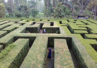 Taman Labirin Coban Rondo