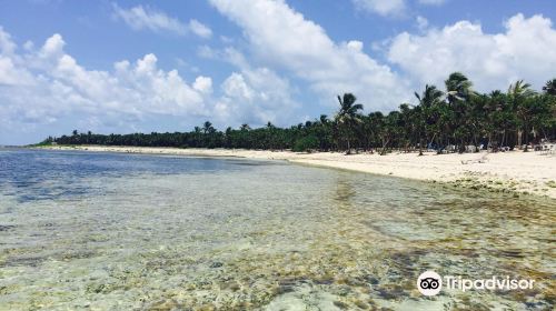 Tankah Beach