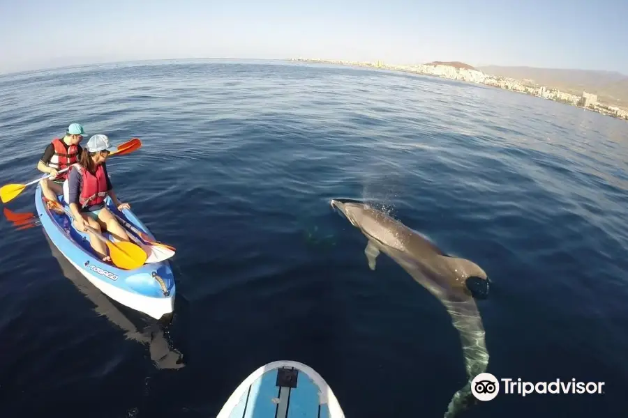 Kayak Academy Tenerife