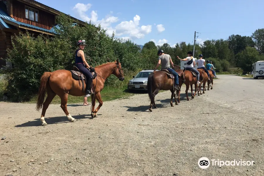 Adventures On Horseback