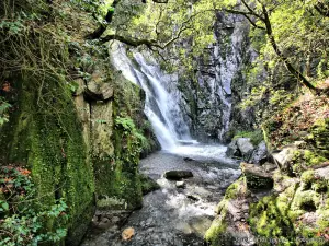 Cascata da Fraga da Pena