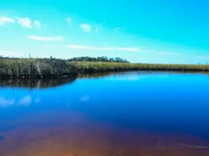 Lower Suwannee National Wildlife Refuge