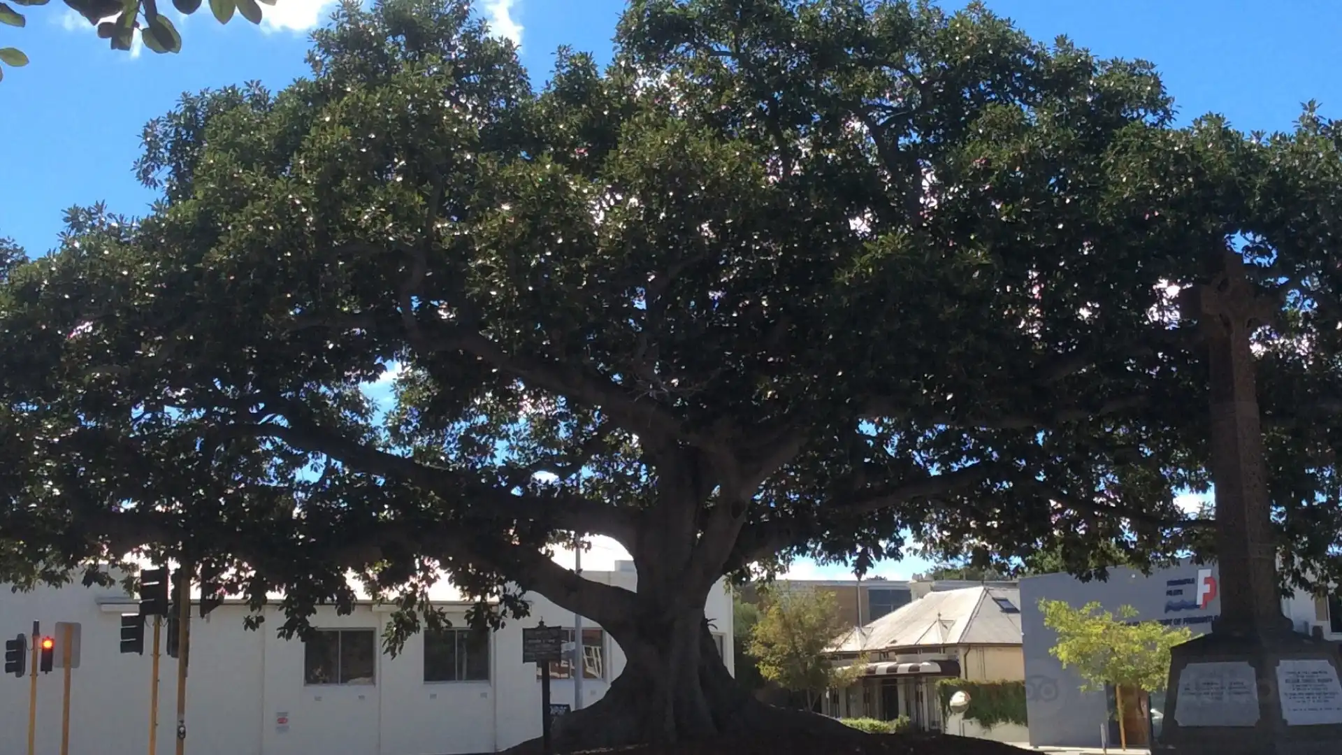 Hotels near Proclamation Tree & Marmion Memorial