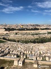 Mount Scopus National Botanical Garden