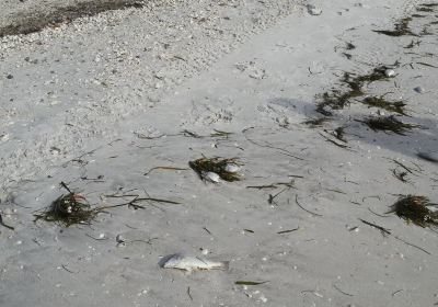 Little Hickory Island Beach Park