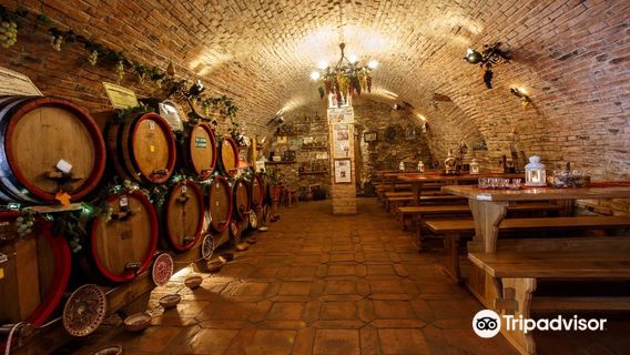 Pivnita lui Teo - Teo's Cellar