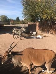 Erlebnistierpark Memleben