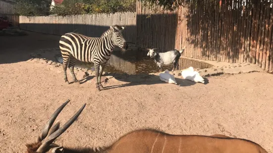 Erlebnistierpark Memleben