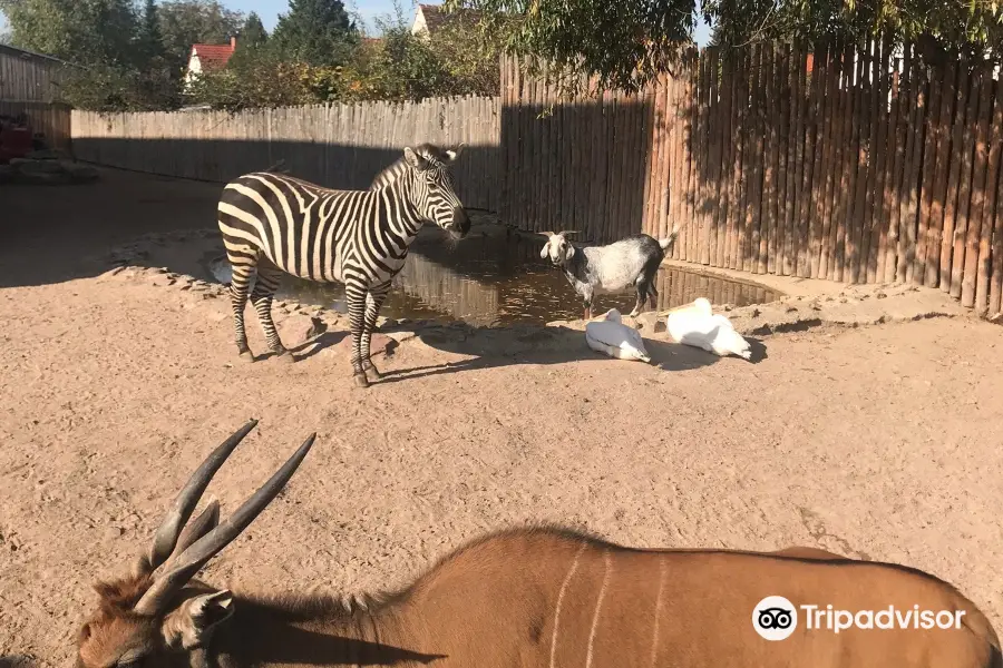 Erlebnistierpark Memleben