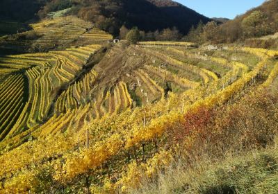 Weingut Franz Hirtzberger