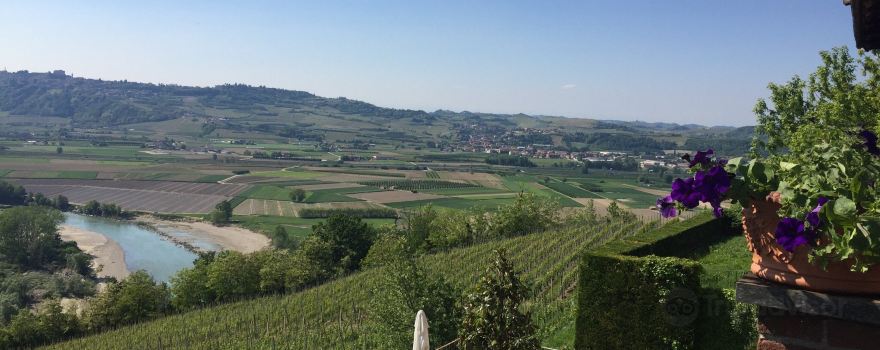 Boffa Fratelli Azienda Agricola