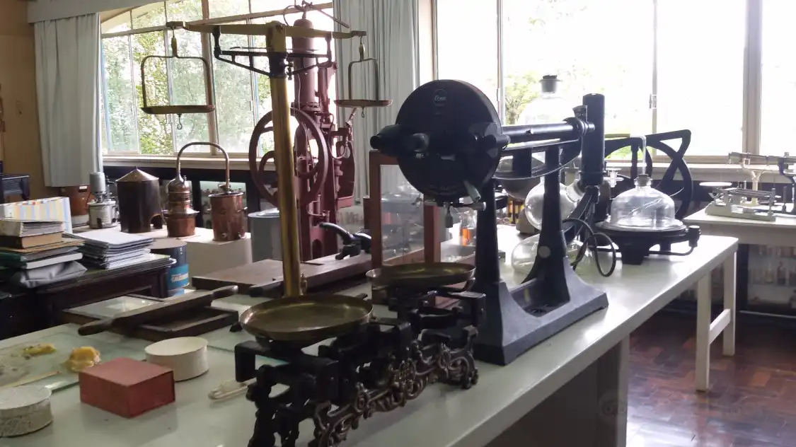 Museu da Farmácia附近的飯店