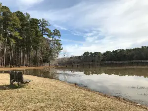 Chester State Park