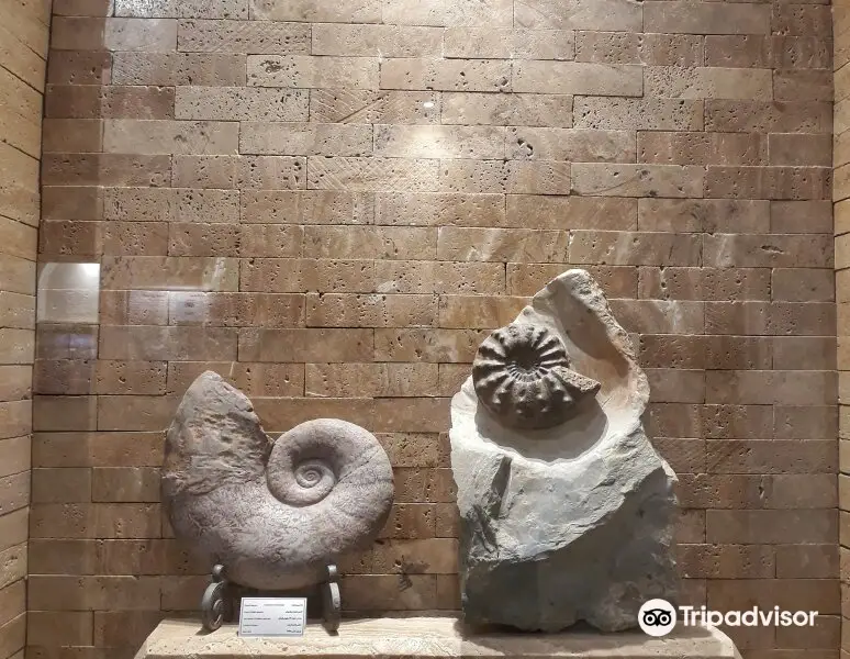 Cambrian Museum