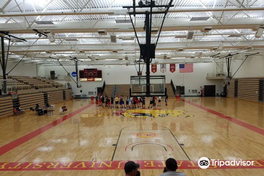 Ferris State Ice Arena