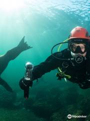 Pacific Pro Dive and Marine Adventures