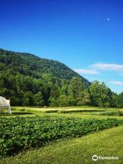 Timpson Creek Farm