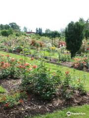 Poltsamaa Rose Garden