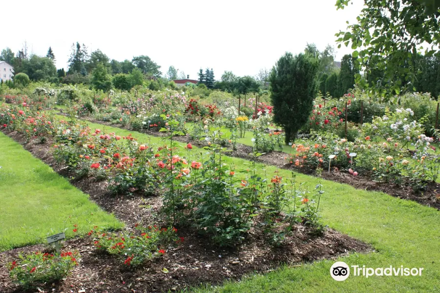 Poltsamaa Rose Garden