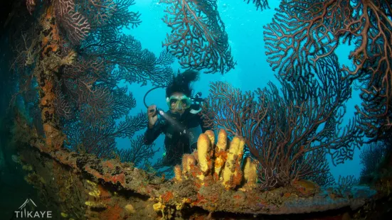 Island Divers
