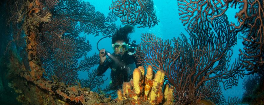 Island Divers