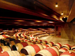 Vina Montes