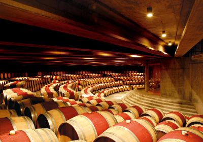 Colchagua