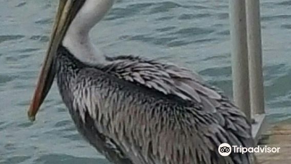 CMX Merritt Square 16 & IMAX