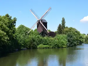 Provinciedomein Halve Maan Diest