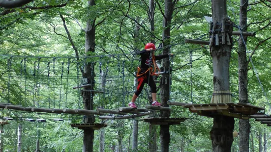 Parco Avventura Forestavventura