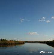 Lighthouse Lakes Trail