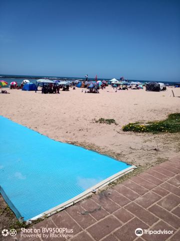 Toowoon Bay Beach