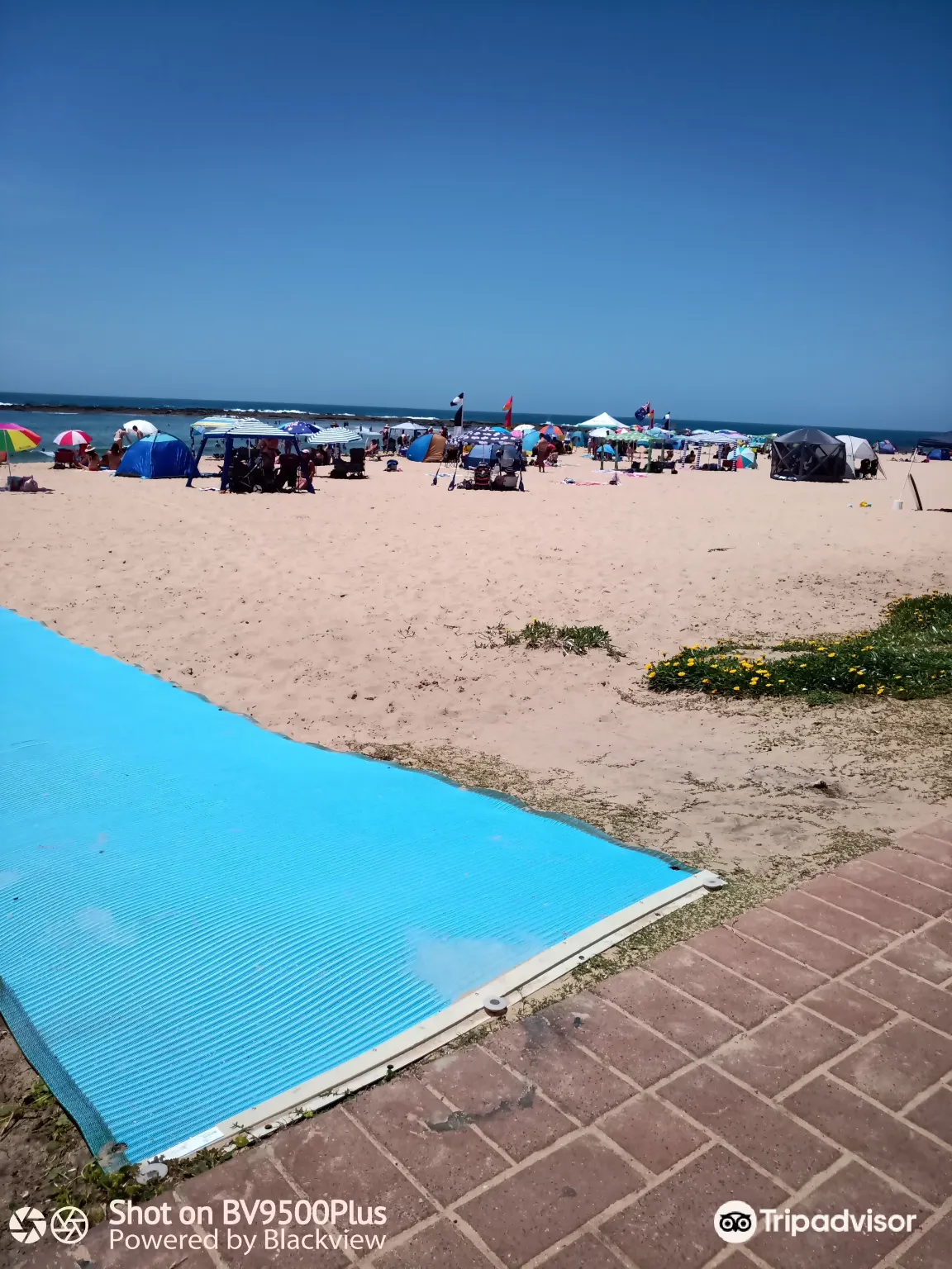 Toowoon Bay Beach