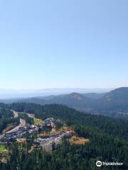 Mount Finlayson