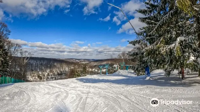 2_Holiday Valley Resort