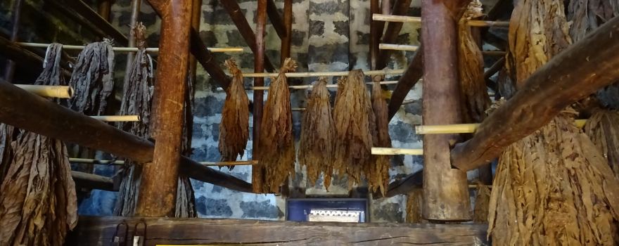 Tabaco da Maia Museum