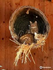 Solingen Bird and Animal Park