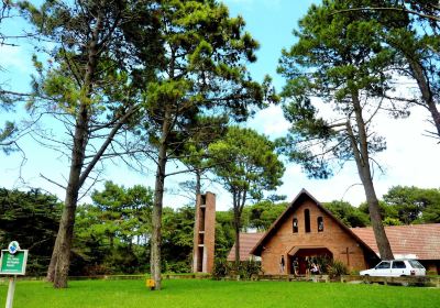 Bosque Aereo Carilo